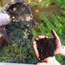 comment faire du compost