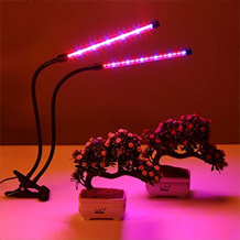 Lampe de croissance pour plante : en quoi consiste-t-elle