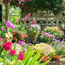 quelles fleurs dans le jardin