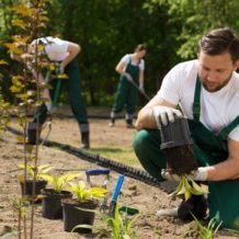 comment les paysagistes aident l'environnement