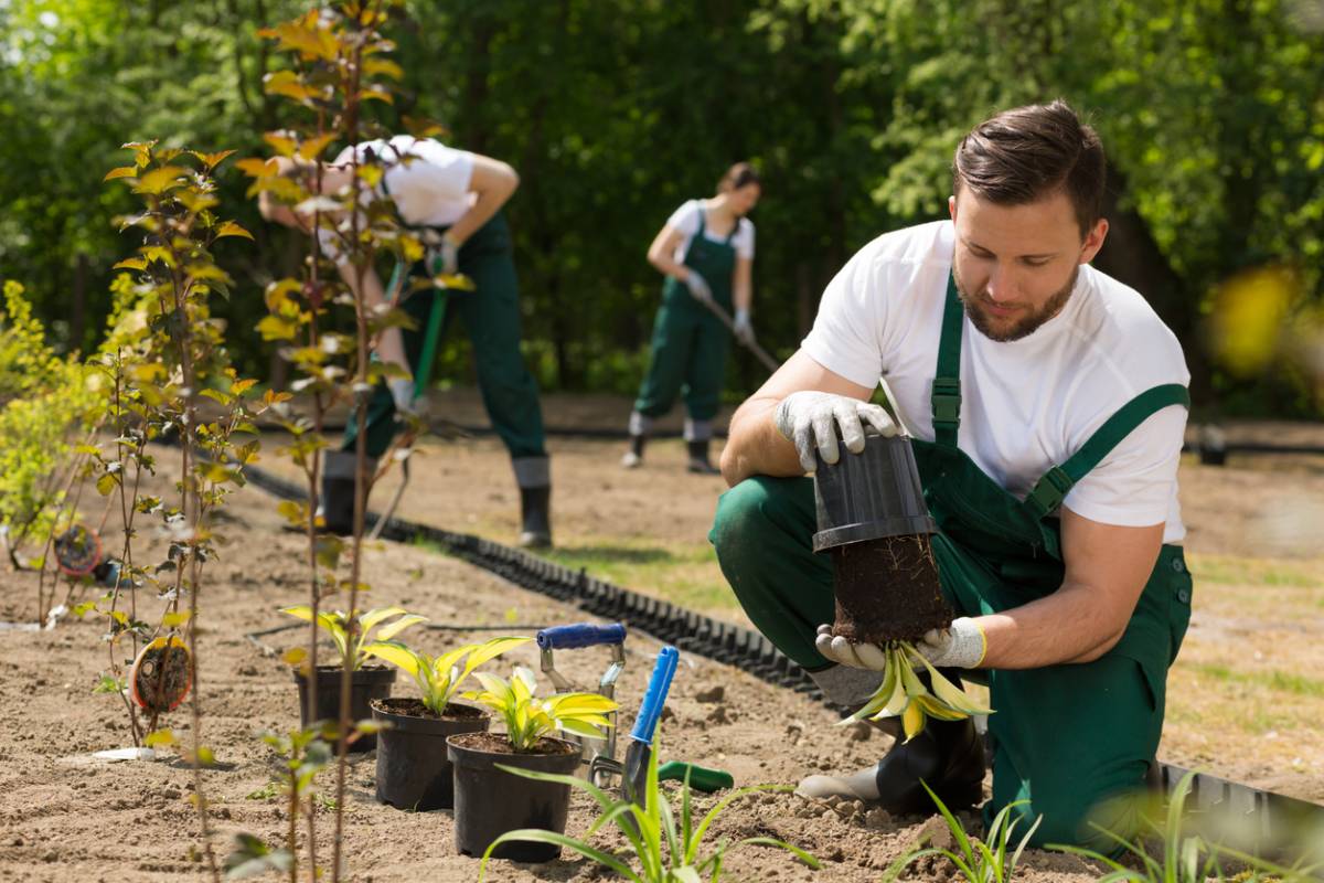 comment les paysagistes aident l'environnement