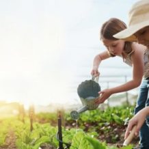 Quel mois pour préparer le jardin