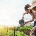 Quel mois pour préparer le jardin